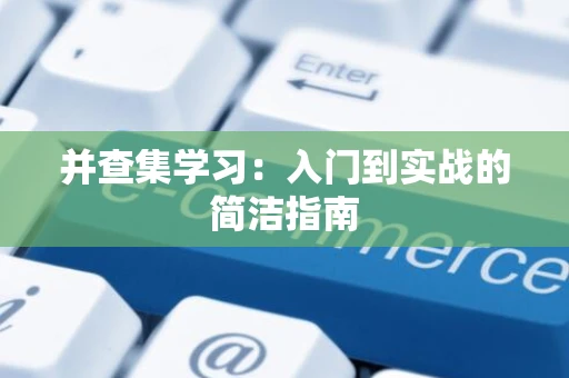 并查集学习：入门到实战的简洁指南