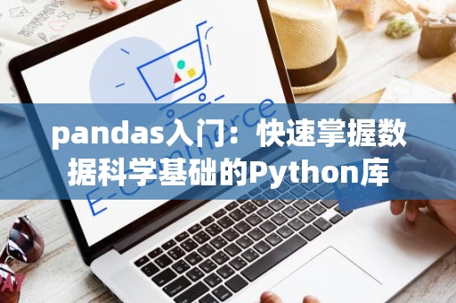 pandas入门：快速掌握数据科学基础的Python库
