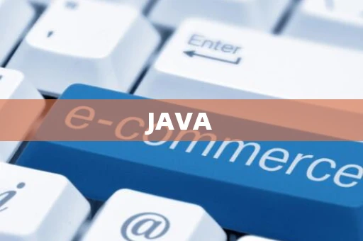 JAVA