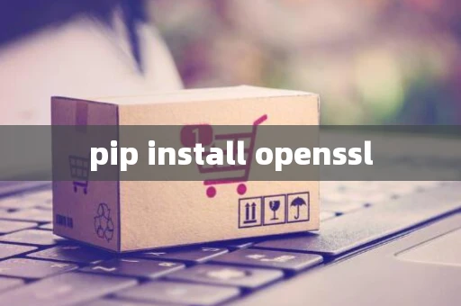 pip install openssl