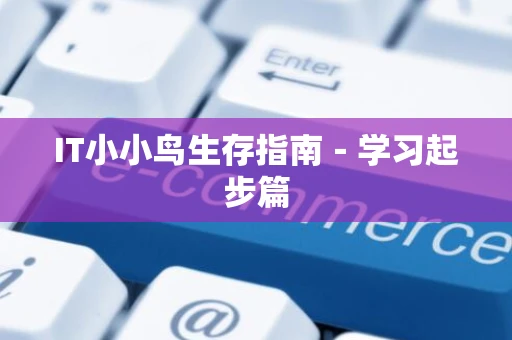 IT小小鸟生存指南－学习起步篇