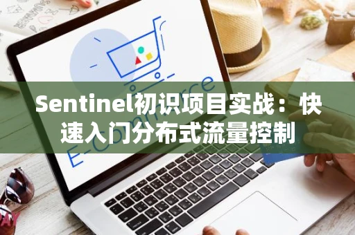 Sentinel初识项目实战：快速入门分布式流量控制