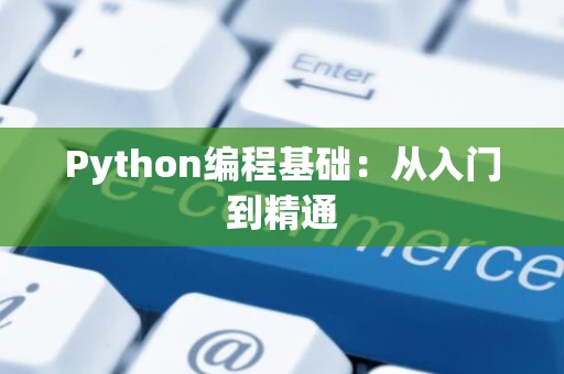 Python编程基础：从入门到精通