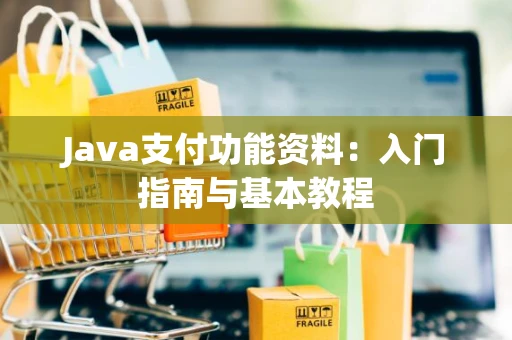 Java支付功能资料：入门指南与基本教程