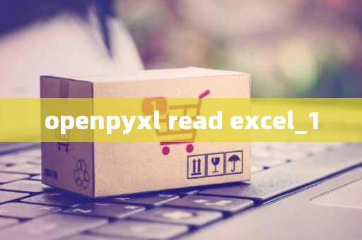 openpyxl read excel_1