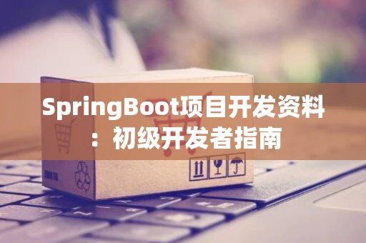SpringBoot项目开发资料：初级开发者指南