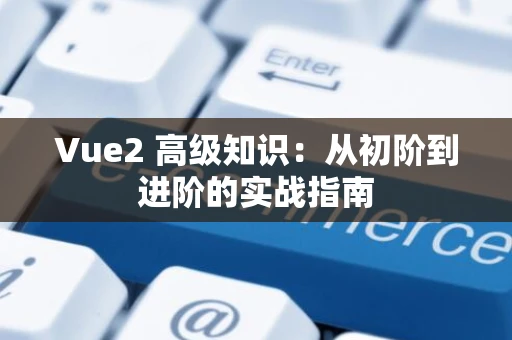 Vue2 高级知识：从初阶到进阶的实战指南