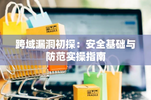 跨域漏洞初探：安全基础与防范实操指南