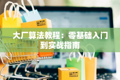 大厂算法教程：零基础入门到实战指南