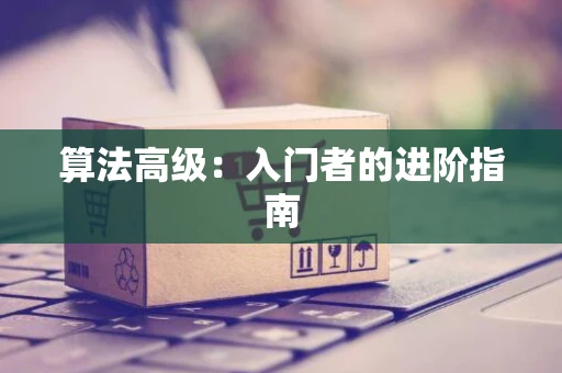 算法高级：入门者的进阶指南