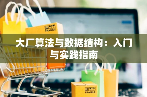 大厂算法与数据结构：入门与实践指南
