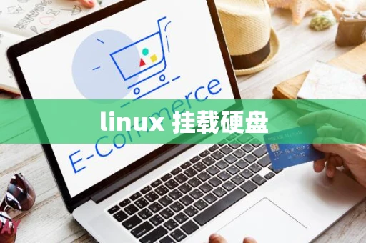 linux 挂载硬盘