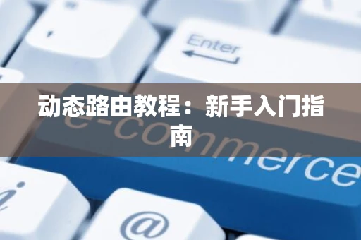 动态路由教程：新手入门指南