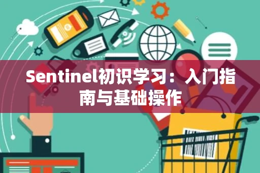 Sentinel初识学习：入门指南与基础操作