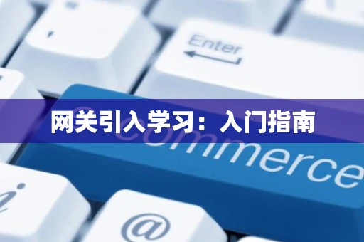 网关引入学习：入门指南