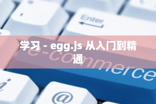 学习 - egg.js 从入门到精通