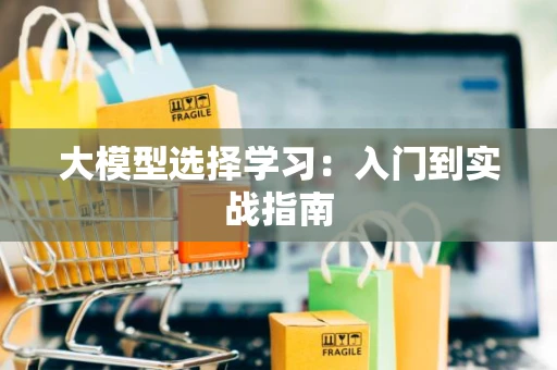 大模型选择学习：入门到实战指南