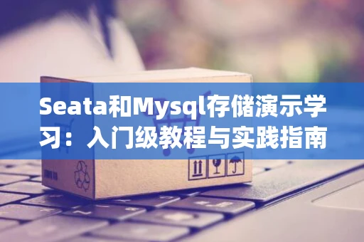 Seata和Mysql存储演示学习：入门级教程与实践指南