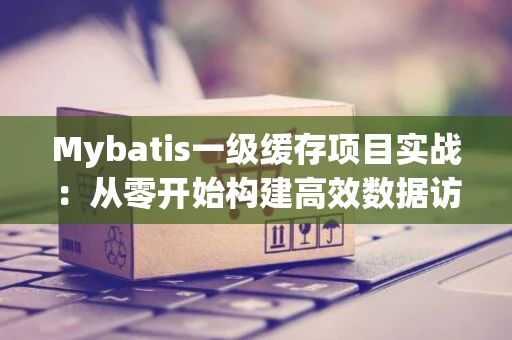 Mybatis一级缓存项目实战：从零开始构建高效数据访问层
