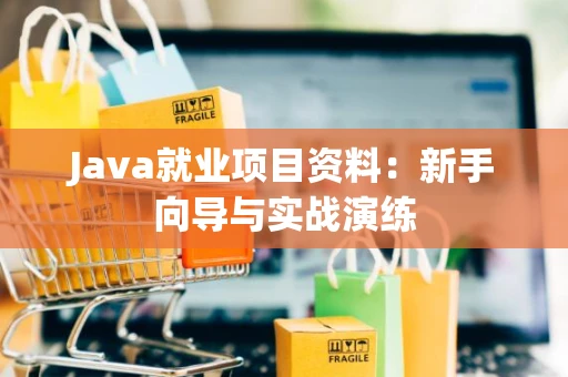 Java就业项目资料：新手向导与实战演练