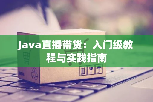 Java直播带货：入门级教程与实践指南