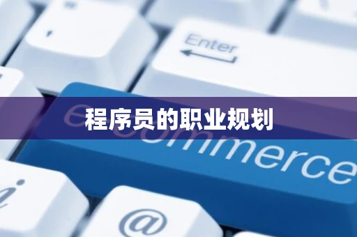 程序员的职业规划