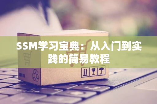 SSM学习宝典：从入门到实践的简易教程