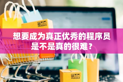 想要成为真正优秀的程序员是不是真的很难？