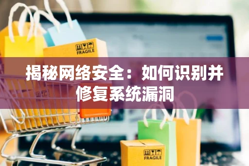 揭秘网络安全：如何识别并修复系统漏洞