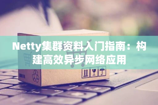 Netty集群资料入门指南：构建高效异步网络应用