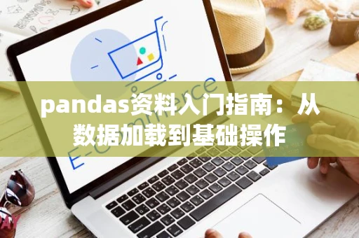 pandas资料入门指南：从数据加载到基础操作