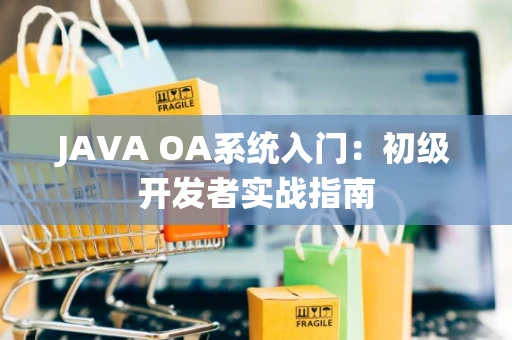JAVA OA系统入门：初级开发者实战指南