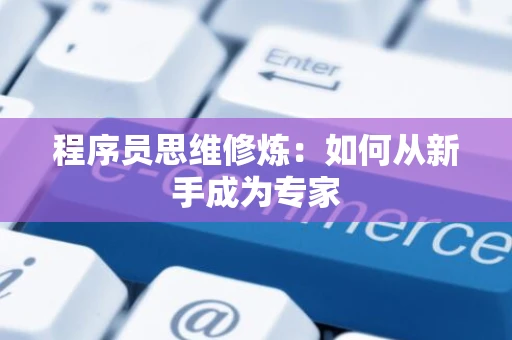 程序员思维修炼:如何从新手成为专家 程序员思维修炼:如何从新手成为专家
