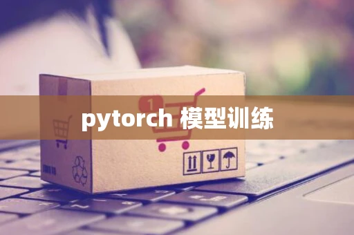 pytorch 模型训练