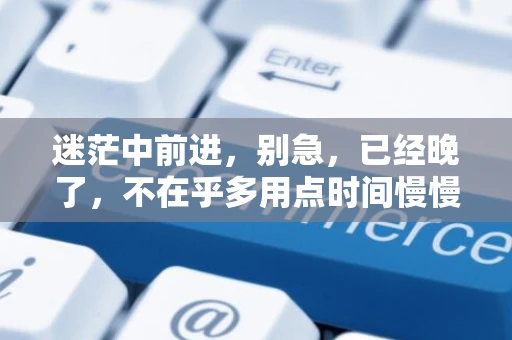 迷茫中前进，别急，已经晚了，不在乎多用点时间慢慢来。