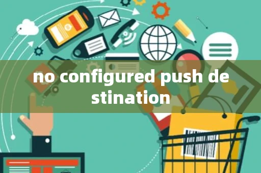 no configured push destination