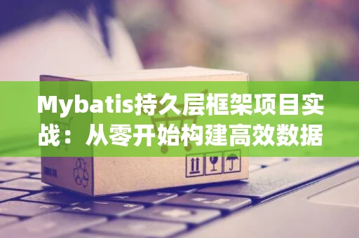 Mybatis持久层框架项目实战：从零开始构建高效数据访问层