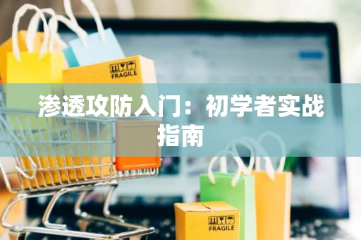 渗透攻防入门：初学者实战指南