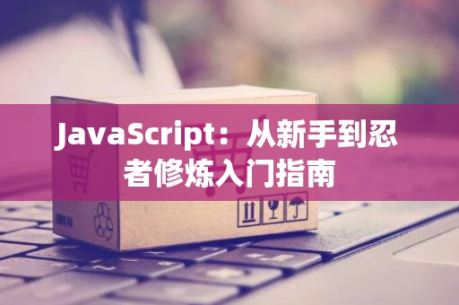 JavaScript：从新手到忍者修炼入门指南