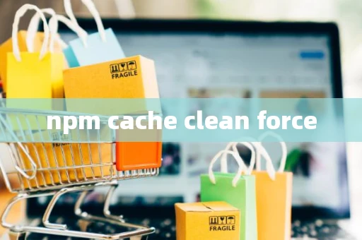 npm cache clean force