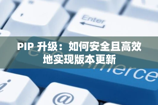 PIP 升级：如何安全且高效地实现版本更新