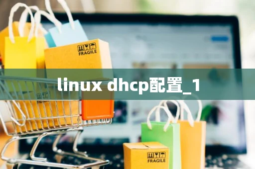 linux dhcp配置_1