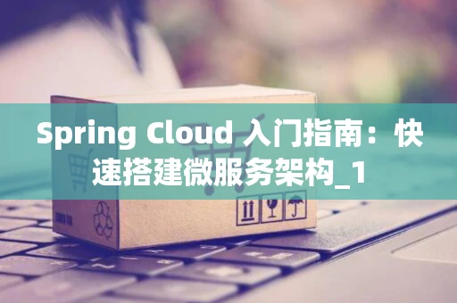 Spring Cloud 入门指南：快速搭建微服务架构_1