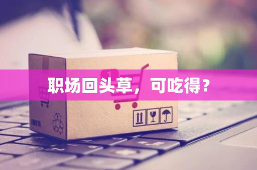 职场回头草，可吃得？