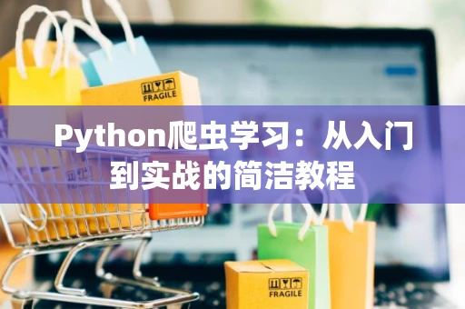 Python爬虫学习：从入门到实战的简洁教程
