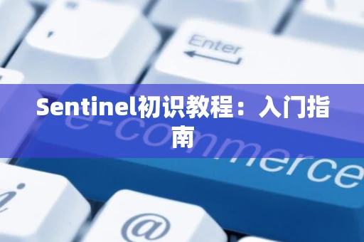 Sentinel初识教程：入门指南