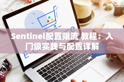 Sentinel配置限流 教程：入门级实践与配置详解