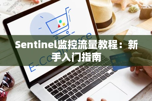 Sentinel监控流量教程：新手入门指南
