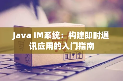 Java IM系统：构建即时通讯应用的入门指南