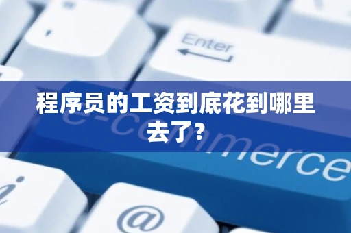 程序员的工资到底花到哪里去了？